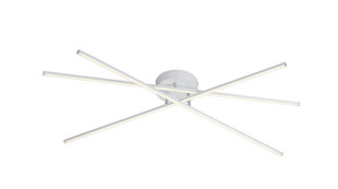 Потолочный светильник Tiriac LED, матовый белый цена и информация | Потолочные светильники | kaup24.ee