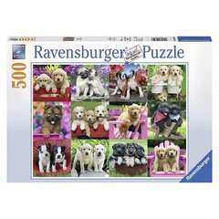 Ravensburger pusle 500 tk Kutsikad hind ja info | Pusled | kaup24.ee