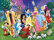 Ravensburger pusle 200 tk Disney lemmiktegelased hind ja info | Pusled | kaup24.ee