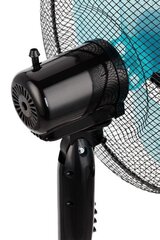 Ventilaator MPM MWP-17 hind ja info | Ventilaatorid | kaup24.ee