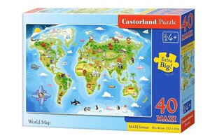 Puzzle 40 World Map 040117 hind ja info | Pusled | kaup24.ee