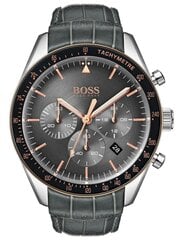 Часы мужские Hugo Boss 1513625 цена и информация | Мужские часы | kaup24.ee