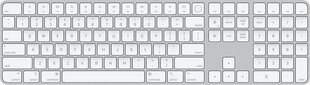 Клавиатура Apple цена и информация | Клавиатура с игровой мышью 3GO COMBODRILEW2 USB ES | kaup24.ee