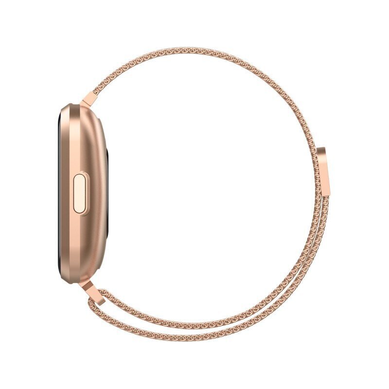 Forever ForeVigo2 SW-310 Rose Gold hind ja info | Nutikellad (smartwatch) | kaup24.ee