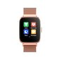 Forever ForeVigo2 SW-310 Rose Gold hind ja info | Nutikellad (smartwatch) | kaup24.ee