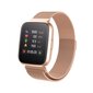 Forever ForeVigo2 SW-310 Rose Gold цена и информация | Nutikellad (smartwatch) | kaup24.ee