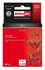 ActiveJet ink ACC-551GN Canon CLI-551G Grey цена и информация | Картриджи для струйных принтеров | kaup24.ee