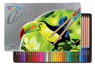 Карандаши, 36 цветов, COLORINO ARTIST цена и информация | Принадлежности для рисования, лепки | kaup24.ee