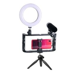 Led-lampide komplekt blogijatele lauaaluse, telefonihoidja, mikrofoni (lamp RD) / selfie-lamp / 1 x 6 ” цена и информация | Осветительное оборудование для фотосъемок | kaup24.ee