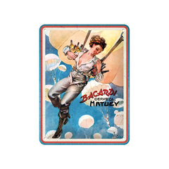 Nostalgic Art металлическая пластина Bacardi - Cerveza Hatuey Pin Up Girl, 15x20 см цена и информация | Детали интерьера | kaup24.ee