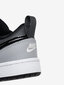 Nike Jalatsid Court Borough Low 2 Grey BQ5451 014 BQ5451 014/12K цена и информация | Laste kingad | kaup24.ee