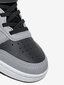 Nike Jalatsid Court Borough Low 2 Grey BQ5451 014 BQ5451 014/12K цена и информация | Laste kingad | kaup24.ee