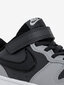 Nike Jalatsid Court Borough Low 2 Grey BQ5451 014 BQ5451 014/12K цена и информация | Laste kingad | kaup24.ee