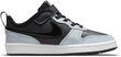 Nike Jalatsid Court Borough Low 2 Grey BQ5451 014 BQ5451 014/12K цена и информация | Laste kingad | kaup24.ee