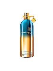 Парфюмированная вода Montale Paris Aoud Lagoon EDP для женщин/мужчин, 100 мл цена и информация | Женские духи | kaup24.ee