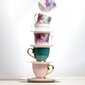 Ambition Royal tass, roosa, 400 ml hind ja info | Klaasid, tassid ja kannud | kaup24.ee