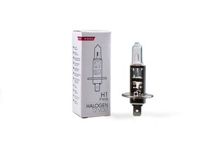 Halogeenpirn M-Tech H1 12V hind ja info | Autopirnid | kaup24.ee