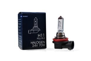 Галогенная лампа M-Tech H11 24В цена и информация | Автомобильные лампочки | kaup24.ee