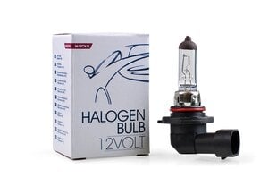 Halogeenpirn M-Tech H10 12V hind ja info | Autopirnid | kaup24.ee