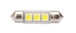 LED pirn M-Tech C5W 11x36mm 12V, 2 tk hind ja info | Autopirnid | kaup24.ee