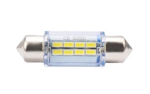 LED pirn M-Tech LB085W C5W 11x36 12V, 2 tk hind ja info | Autopirnid | kaup24.ee
