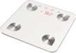 Caso BF4 Scales, Weight: max 150kg, 4 person memory, Large digital display, Foot sensor цена и информация | Kaalud | kaup24.ee