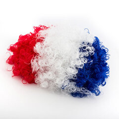 Prantsuse lipuvärvides afroparukas hind ja info | Karnevali kostüümid | kaup24.ee