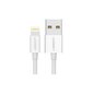 Ugreen USB – Lightning MFI kaabel 1m 2,4A valge (20728) цена и информация | Mobiiltelefonide kaablid | kaup24.ee