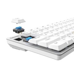 Mechanical keyboard Dareu EK868 (white) цена и информация | Клавиатура с игровой мышью 3GO COMBODRILEW2 USB ES | kaup24.ee