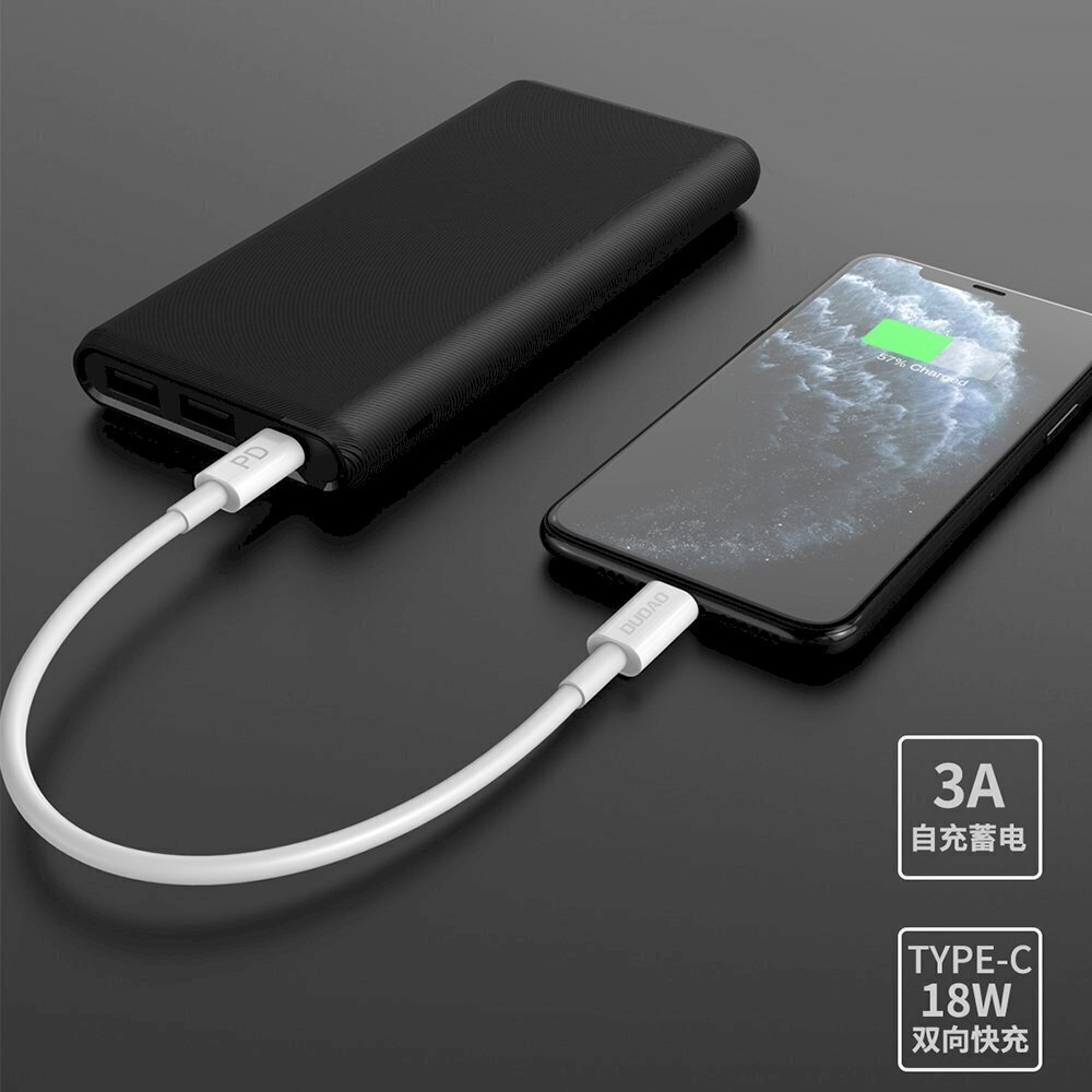 Dudao power bank 10000mAh 18W Quick Charge Power Delivery 2x USB / 1x USB Type C white (K12PQ_W) цена и информация | Akupangad | kaup24.ee