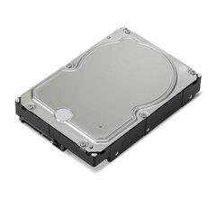 Lenovo 4XB0X01142 цена и информация | Внутренние жёсткие диски (HDD, SSD, Hybrid) | kaup24.ee