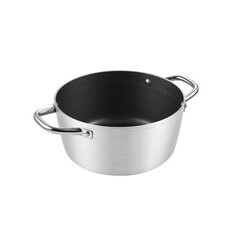 Tescoma Grand Chef pott, 20 cm, 2,5 l цена и информация | Кастрюли, скороварки | kaup24.ee