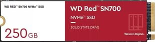 WD WDS250G1R0C цена и информация | Внутренние жёсткие диски (HDD, SSD, Hybrid) | kaup24.ee