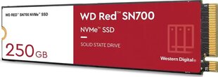 WD WDS250G1R0C цена и информация | Внутренние жёсткие диски (HDD, SSD, Hybrid) | kaup24.ee