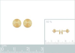 750° kullaga kaetud kõrvarõngad, 5mm, toodetud Prantsusmaal цена и информация | Серьги | kaup24.ee