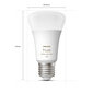 Philips Hue White and Color ambiance stardikomplekt 2x E27 1100lm A60 + sild + lüliti цена и информация | Lambipirnid, lambid | kaup24.ee