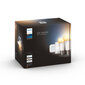 Philips Hue White Ambiance stardikomplekt 2 x E27 hind ja info | Lambipirnid, lambid | kaup24.ee