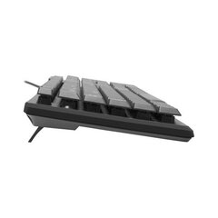 Tacens AK0ES цена и информация | Клавиатура с игровой мышью 3GO COMBODRILEW2 USB ES | kaup24.ee