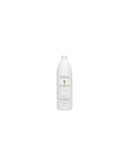 Šampoon Alfaparf Precious Nature Long & Straight Hair Shampoo, 1000 ml hind ja info | Šampoonid | kaup24.ee