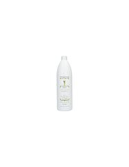 Шампунь для волос Alfaparf Precious Nature Long & Straight Hair Shampoo, 1000 мл цена и информация | Шампуни | kaup24.ee