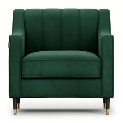 Кресло Homede Pepper, зеленое цена и информация | Кресла в гостиную | kaup24.ee