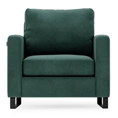 Кресло Homede Corni, зеленое цена и информация | Кресла в гостиную | kaup24.ee