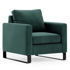 Кресло Homede Corni, зеленое цена и информация | Кресла в гостиную | kaup24.ee