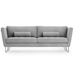 Трехместный диван Homede Deltin, серый цена и информация | Диваны | kaup24.ee