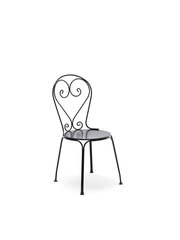 Черный лакированный металлический стул цена и информация | Садовые стулья, кресла, пуфы | kaup24.ee