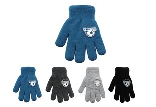 Детские перчатки Rak R-102DB, синие цена и информация | Зимняя одежда для детей | kaup24.ee