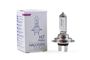 Halogeenpirn M-Tech H7 12V hind ja info | Autopirnid | kaup24.ee