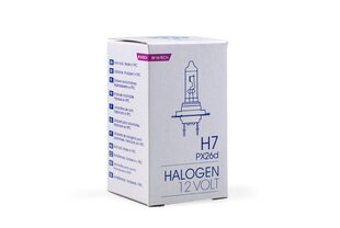 Halogeenpirn M-Tech H7 12V hind ja info | Autopirnid | kaup24.ee