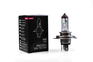 Галогенная лампа M-Tech H4 24В цена и информация | Автомобильные лампочки | kaup24.ee
