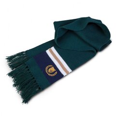 Комплект шапки и шарфа для мальчиков TuTu, зеленый цена и информация | Зимняя одежда для детей | kaup24.ee